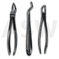 Daviers dentaires Iron Grip Silver