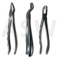 Daviers dentaires Iron Silver